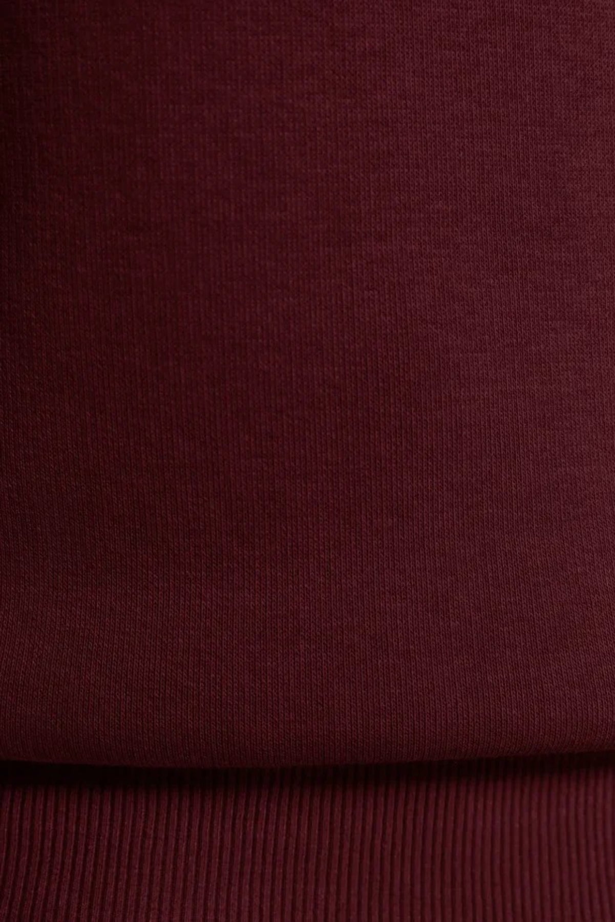 Thick Fleece-Lined Regular Fit Crew Neck Basic Knit Sweatshirt