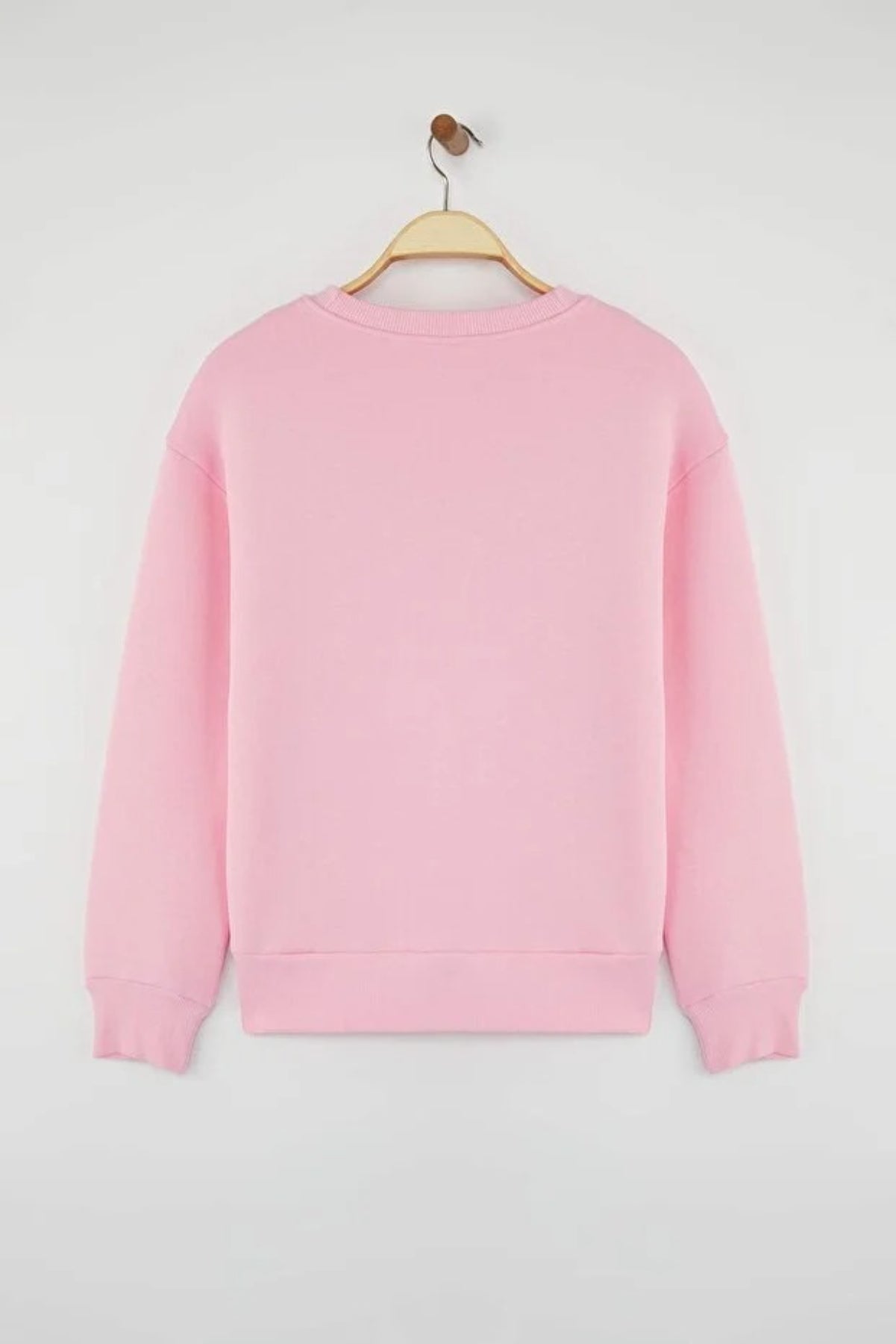 Thick Fleece-Lined Regular Fit Crew Neck Basic Knit Sweatshirt