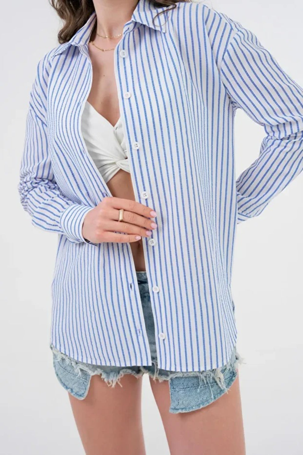 Blue Striped Regular Fit Basic Woven Shirt