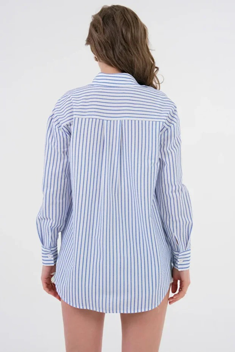 Blue Striped Regular Fit Basic Woven Shirt