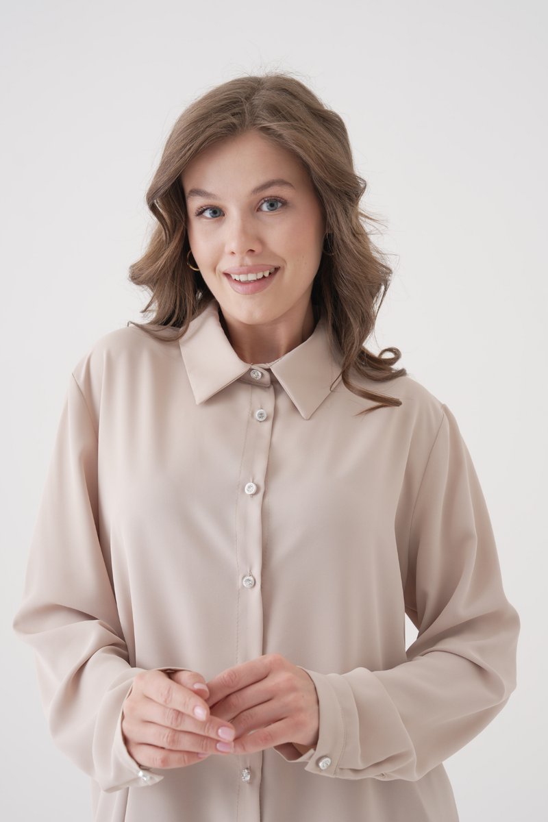 Oversized Long-Sleeves Pointed Collar Neckline Blouse in Beige