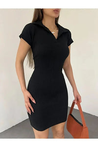 Fitted Polo Neck Short-Sleeve Dress