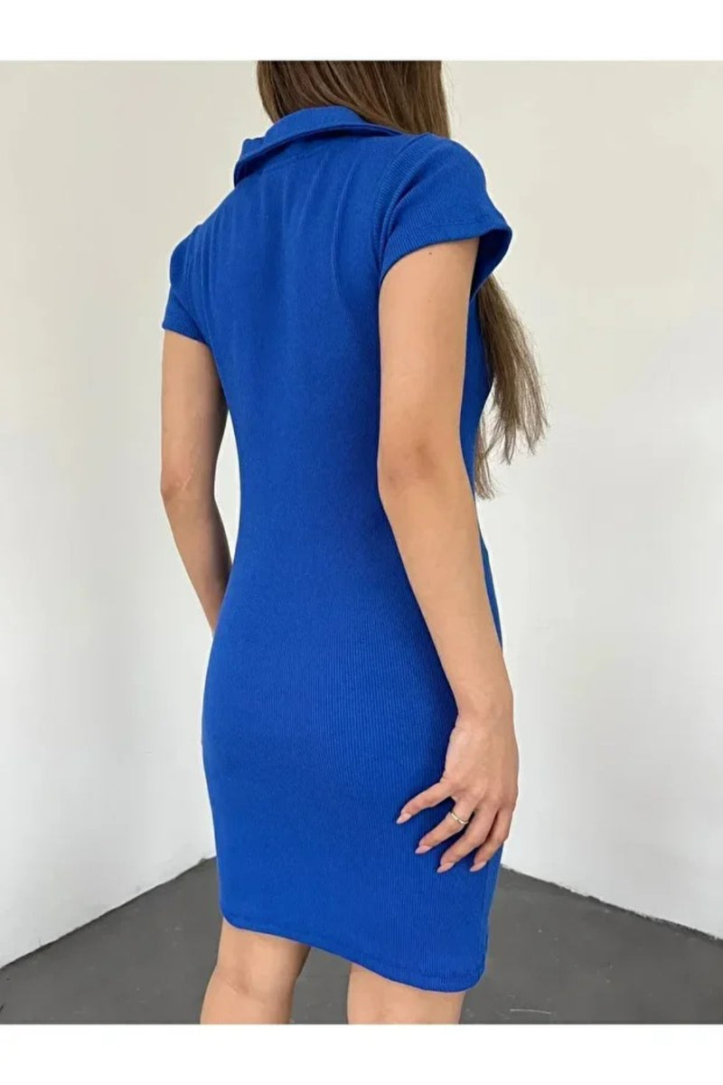 Fitted Polo Neck Short-Sleeve Dress