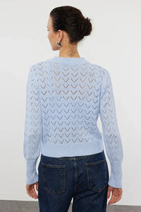 Openwork Knit Cropped 2-Piece Top & Cardigan Set