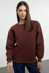 Thick Fleece-Lined Regular Fit Crew Neck Basic Knit Sweatshirt