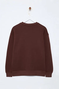 Thick Fleece-Lined Regular Fit Crew Neck Basic Knit Sweatshirt