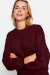 Thick Fleece-Lined Regular Fit Crew Neck Basic Knit Sweatshirt