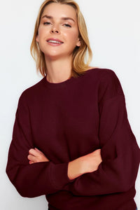 Thick Fleece-Lined Regular Fit Crew Neck Basic Knit Sweatshirt