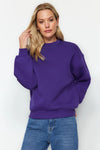 Thick Fleece-Lined Regular Fit Crew Neck Basic Knit Sweatshirt