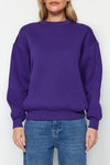 Thick Fleece-Lined Regular Fit Crew Neck Basic Knit Sweatshirt
