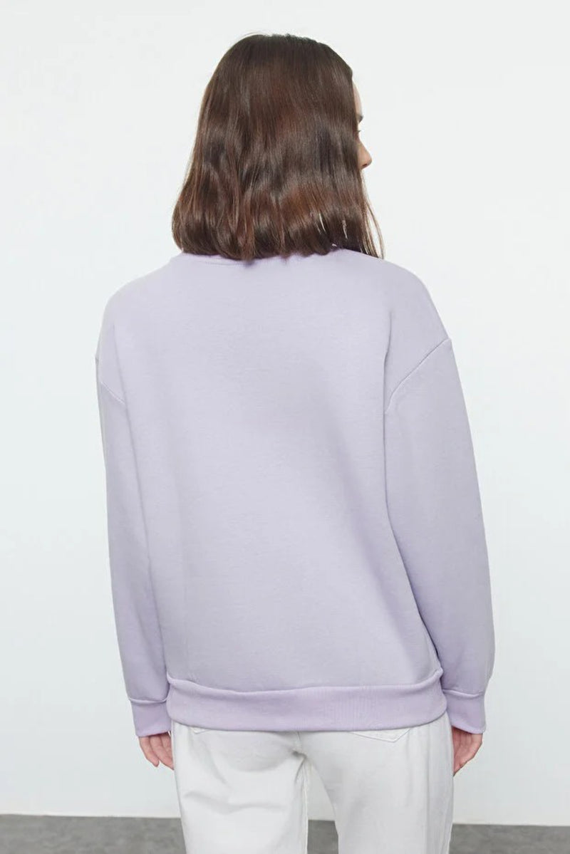 Thick Fleece-Lined Regular Fit Crew Neck Basic Knit Sweatshirt