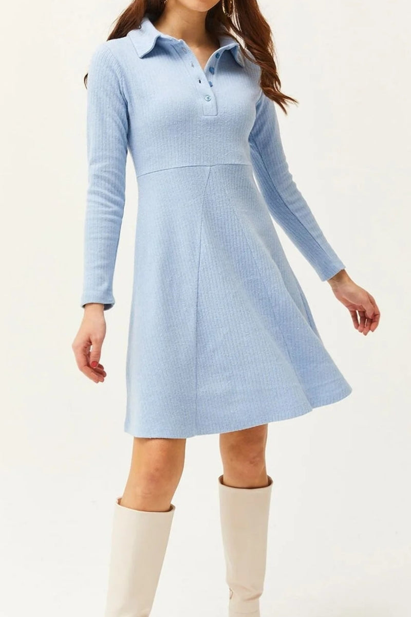 Polo Collar Buttoned Mini Flared Dress