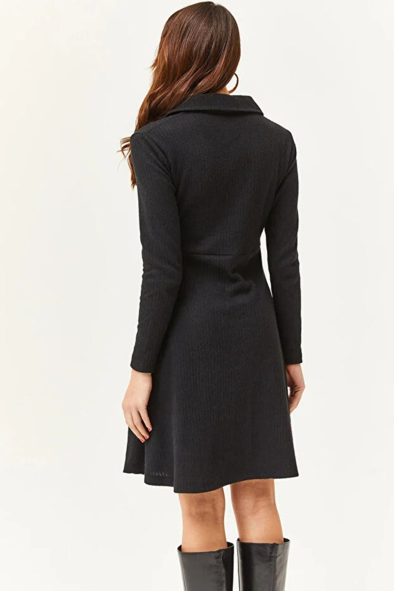 Polo Collar Buttoned Mini Flared Dress