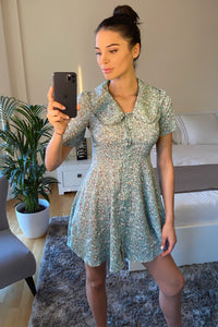 Blue Peter Pan Collar Mini Dress with Floral Print