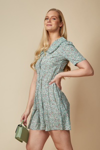 Blue Peter Pan Collar Mini Dress with Floral Print